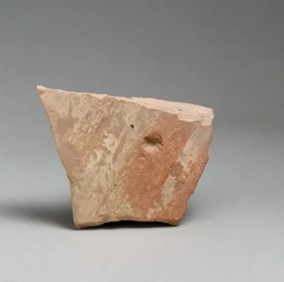Vase fragment