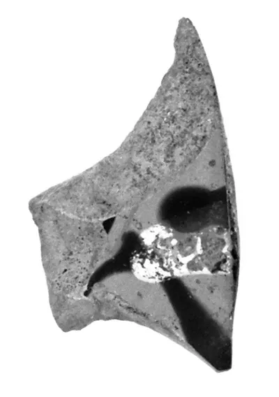 Attic Black-Figure Cup Fragment