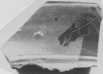 CUP, SIANA, FRAGMENT (ATHENIAN, BLACK-FIGURE)