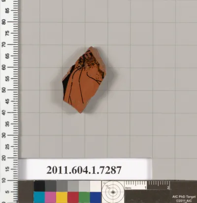 Terracotta fragment of a kylix (drinking cup)