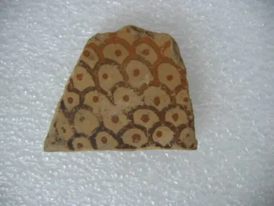 vase fermé