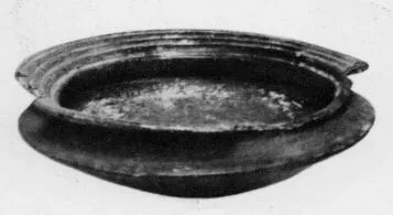 CUP (VEIAN)
