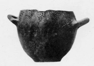 STAMNOS (VEIAN)