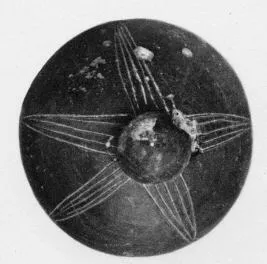 LID (VILLA NOVA)