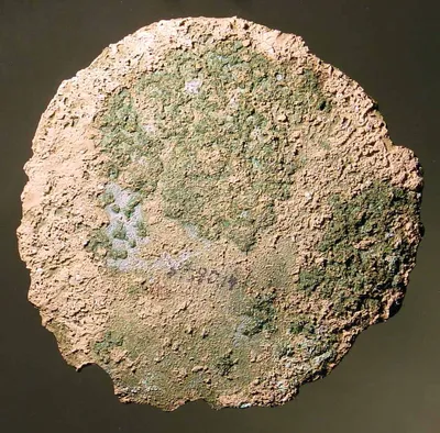 Boden oder Deckel eines mykenischen Gefäßes