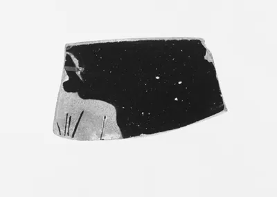 Attic Red-Figure Cup Fragment