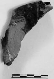 CUP, STEMLESS, FRAGMENT (ATHENIAN, RED-FIGURE)