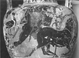 AMPHORA, NECK (ATHENIAN, BLACK-FIGURE)