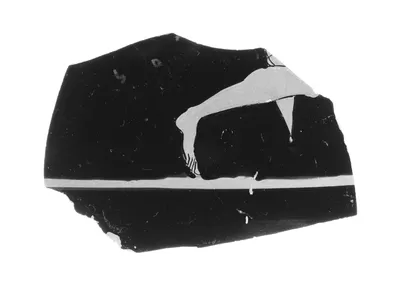 Attic Red-Figure Psykter Fragment