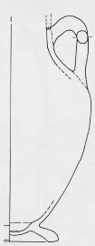 AMPHORA, BELLY, TYPE B (ATHENIAN, BLACK-FIGURE)
