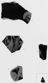 AMPHORA, BELLY, FRAGMENT (ATHENIAN, RED-FIGURE)