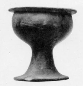 CUP (VEIAN)