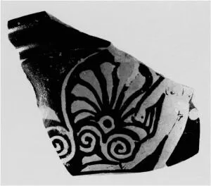 CUP SKYPHOS, FRAGMENT (ATHENIAN, RED-FIGURE)