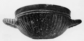 CUP (VEIAN)