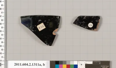 Terracotta rim fragments of skyphoi (deep drinking cups)