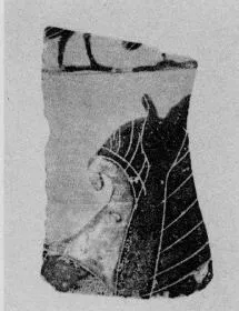 AMPHORA, BELLY, FRAGMENT (ATHENIAN, BLACK-FIGURE)