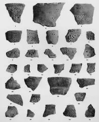 VARIOUS (VUCEDOL)