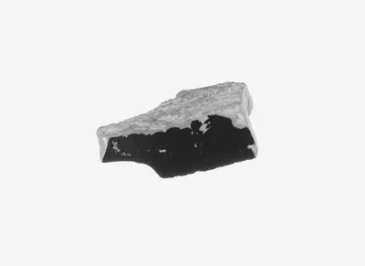 Attic Black-Figure Cup Fragment