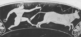 CUP A (ATHENIAN, RED-FIGURE)