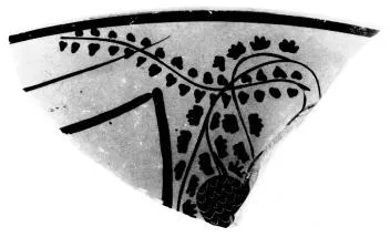 CUP, FRAGMENT (ATHENIAN, BLACK-FIGURE)