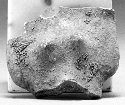 Fragment of a Female Torso