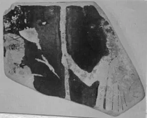 SKYPHOS, FRAGMENT (ATHENIAN, RED-FIGURE)