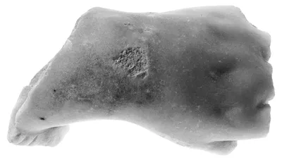 Sculptural Fragment: Left Hand with a Bracelet (Female)