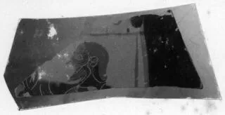 AMPHORA, NECK (?), FRAGMENT (ATHENIAN, BLACK-FIGURE)