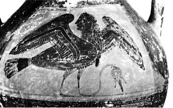 AMPHORA, BELLY, TYPE B (ATHENIAN, BLACK-FIGURE)
