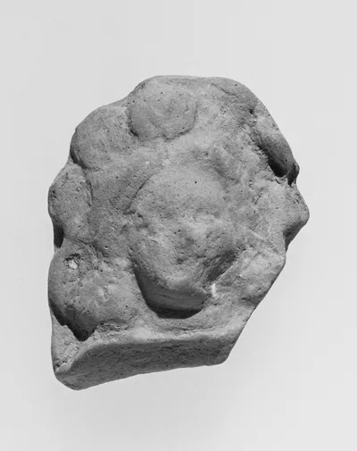 Female Head