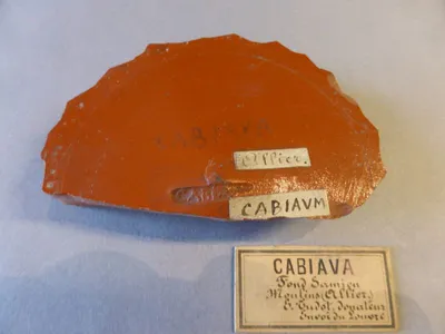 vase ; fragment