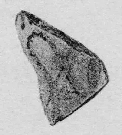 KRATER, FRAGMENT (ATHENIAN GEOMETRIC, SILHOUETTE)