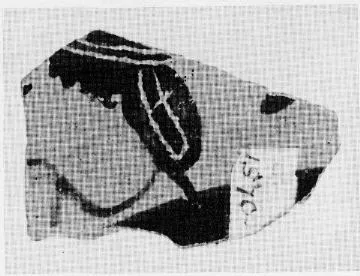 SKYPHOS (?), FRAGMENT (ATHENIAN, BLACK-FIGURE)