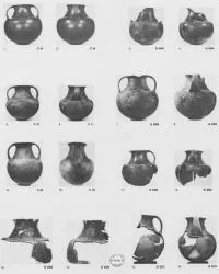 AMPHORA, BELLY (ITALIOTE, IMPASTO)