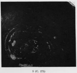 BOWL (SOUTH ITALIAN, CAMPANIAN, BLACK GLAZE)