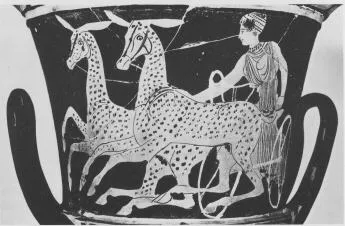 KRATER, CALYX (BOEOTIAN, RED-FIGURE)