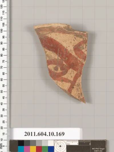 Terracotta fragment of an amphora (jar)?