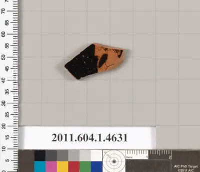 Terracotta fragment of a kylix (drinking cup)