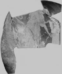 CUP, FRAGMENT (ATHENIAN, RED-FIGURE)