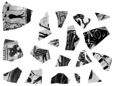 Attic Black-Figure Neck Amphora Fragment (comprised of 7 Joined Fragments)