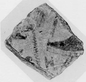 KRATER, FRAGMENT (ATHENIAN GEOMETRIC, SILHOUETTE)