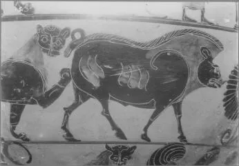 DINOS (ATHENIAN, BLACK-FIGURE)