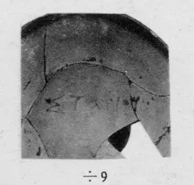 LEKANIS LID (SOUTH ITALIAN, CAMPANIAN, RED-FIGURE)