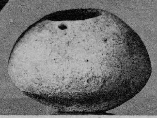 BOWL (VILLA NOVA, IMPASTO)