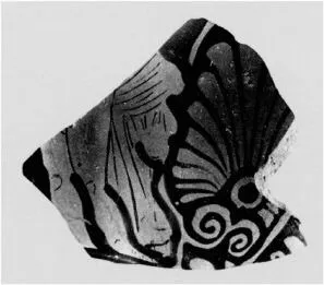 CUP SKYPHOS, FRAGMENT (ATHENIAN, RED-FIGURE)