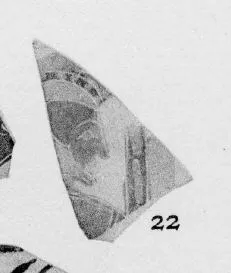 CUP, FRAGMENT (ATHENIAN, BLACK-FIGURE)