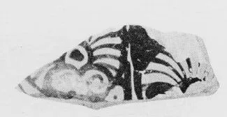 CUP SKYPHOS, FRAGMENT (ATHENIAN, RED-FIGURE)
