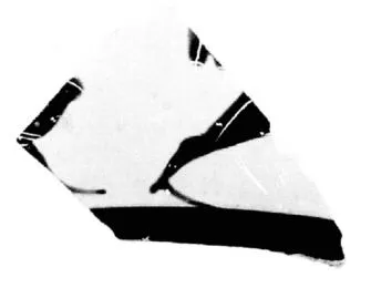 CUP, LITTLE MASTER BAND, FRAGMENT (ATHENIAN, BLACK-FIGURE)