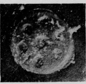 CUP, STEMLESS, FRAGMENT (SOUTH ITALIAN, CAMPANIAN, RELIEF)