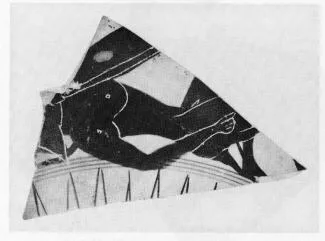 CUP, FRAGMENT (ATHENIAN, BLACK-FIGURE)